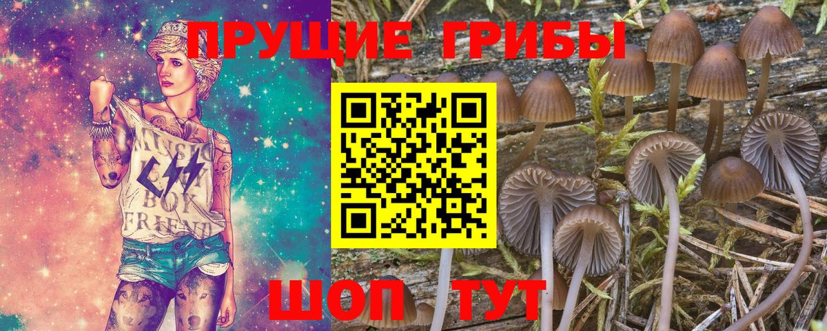 Галлюциногенные грибы Magic Shrooms Кинешма