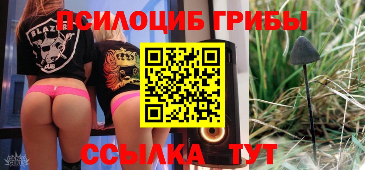 Кинешма  Псилоцибиновые грибы прущие грибы  Псилоцибиновые грибы Psilocybe  цены наркотик  Вход с VPN 